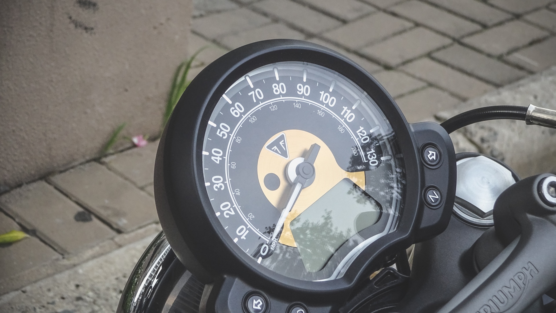 Triumph cua Cuong Do la anh 5