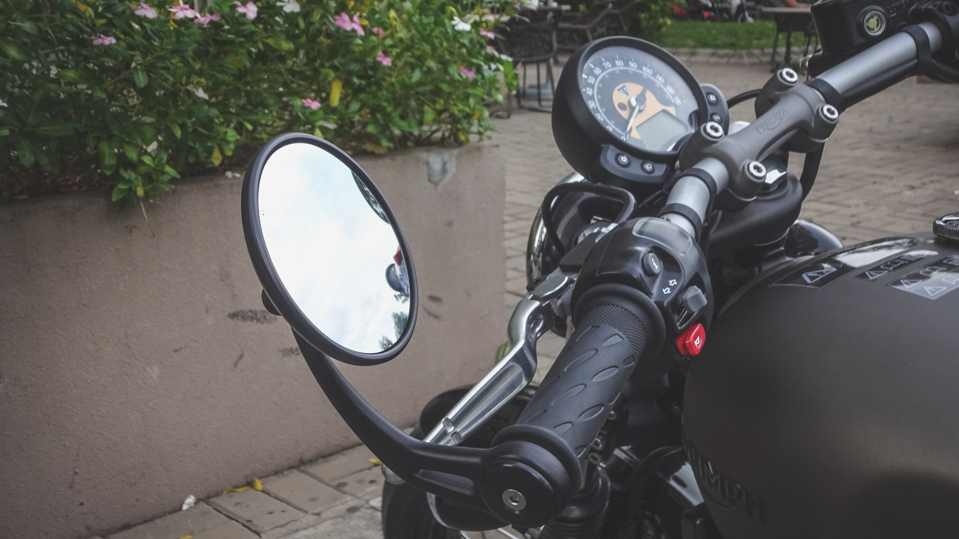 Triumph cua Cuong Do la anh 6