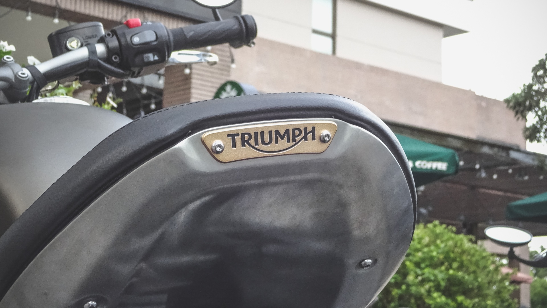 Triumph cua Cuong Do la anh 8