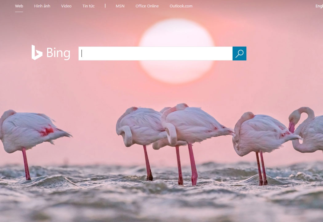 Microsoft tra tien cho nguoi su dung Bing hinh anh