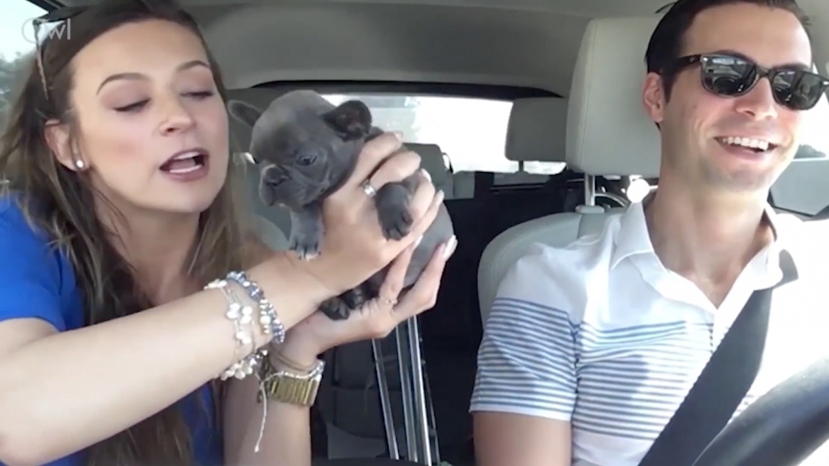 Camera thong minh cho xe anh 4