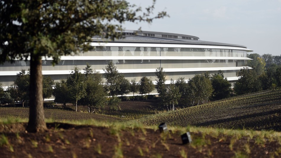 Nhan vien Apple dap dau vao kinh anh 1