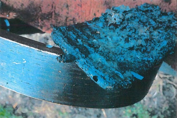 iPhone 6 phat hoa anh 1