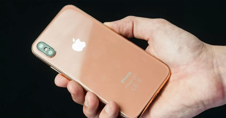 iPhone X mau blush gold sap ra mat? hinh anh