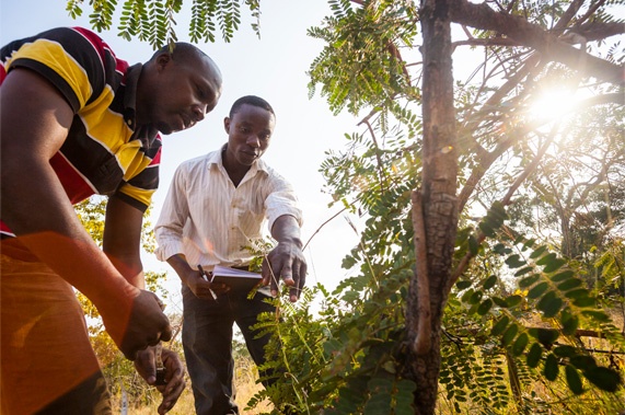 Robot tai che iPhone anh 7