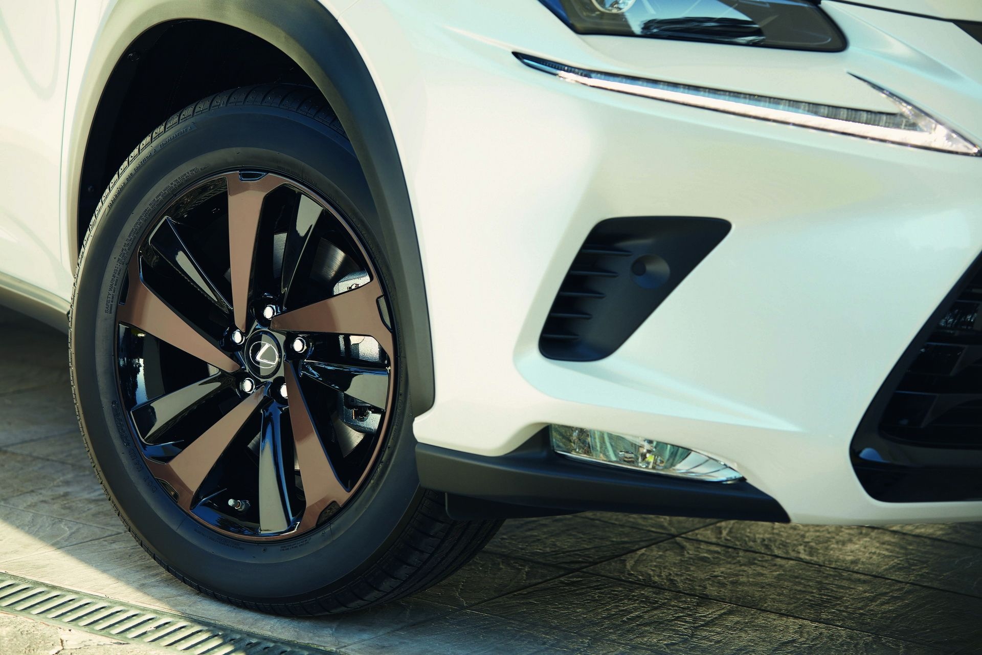 Lexus NX 300h ban the thao,  gia tu 49.000 USD anh 3