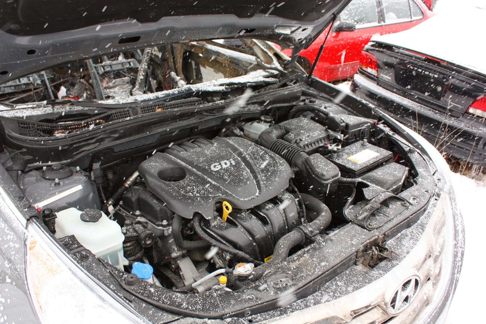 Xe tu boc chay, Hyundai va Kia bi de nghi dieu tra hinh anh