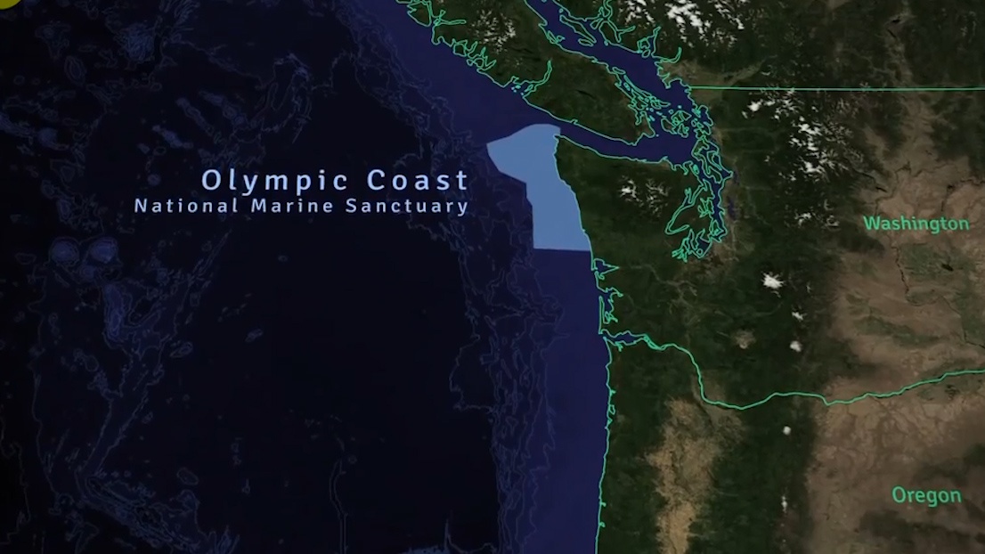 Hai manh thien thach dau tien thu thap tu dai duong hinh anh