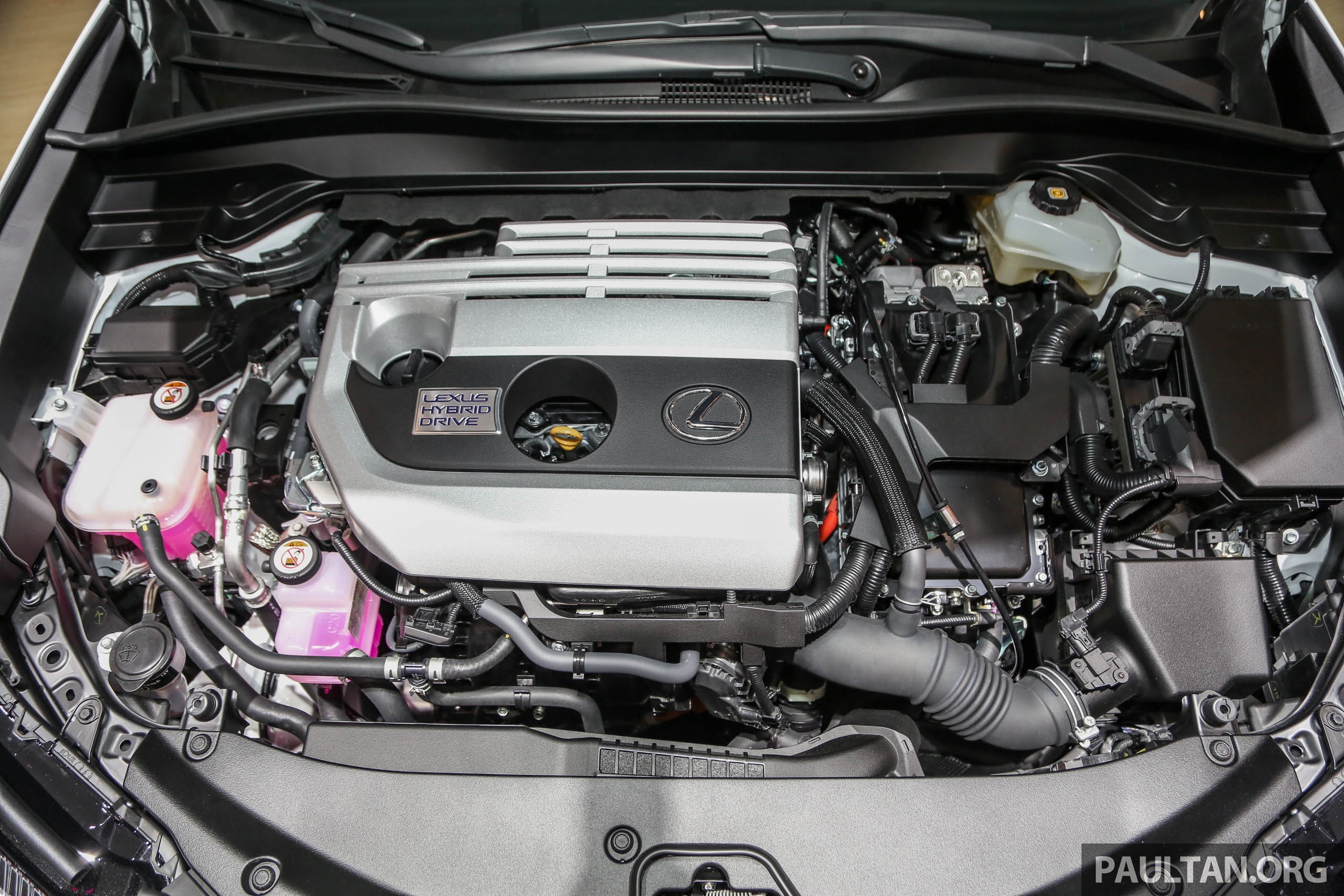 Lexus UX 2019 lan dau den Dong Nam A anh 6