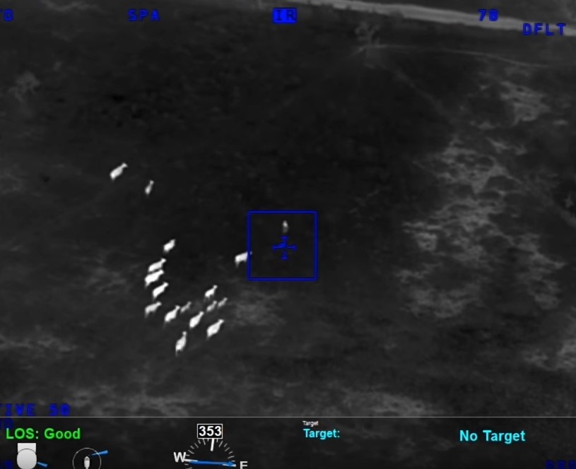 Bo giup canh sat tom trom xe hinh anh