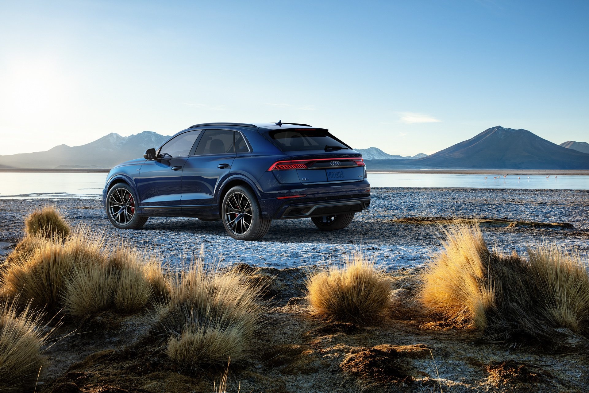 Audi Q8 2019 ban tai My, dung dong co moi hinh anh