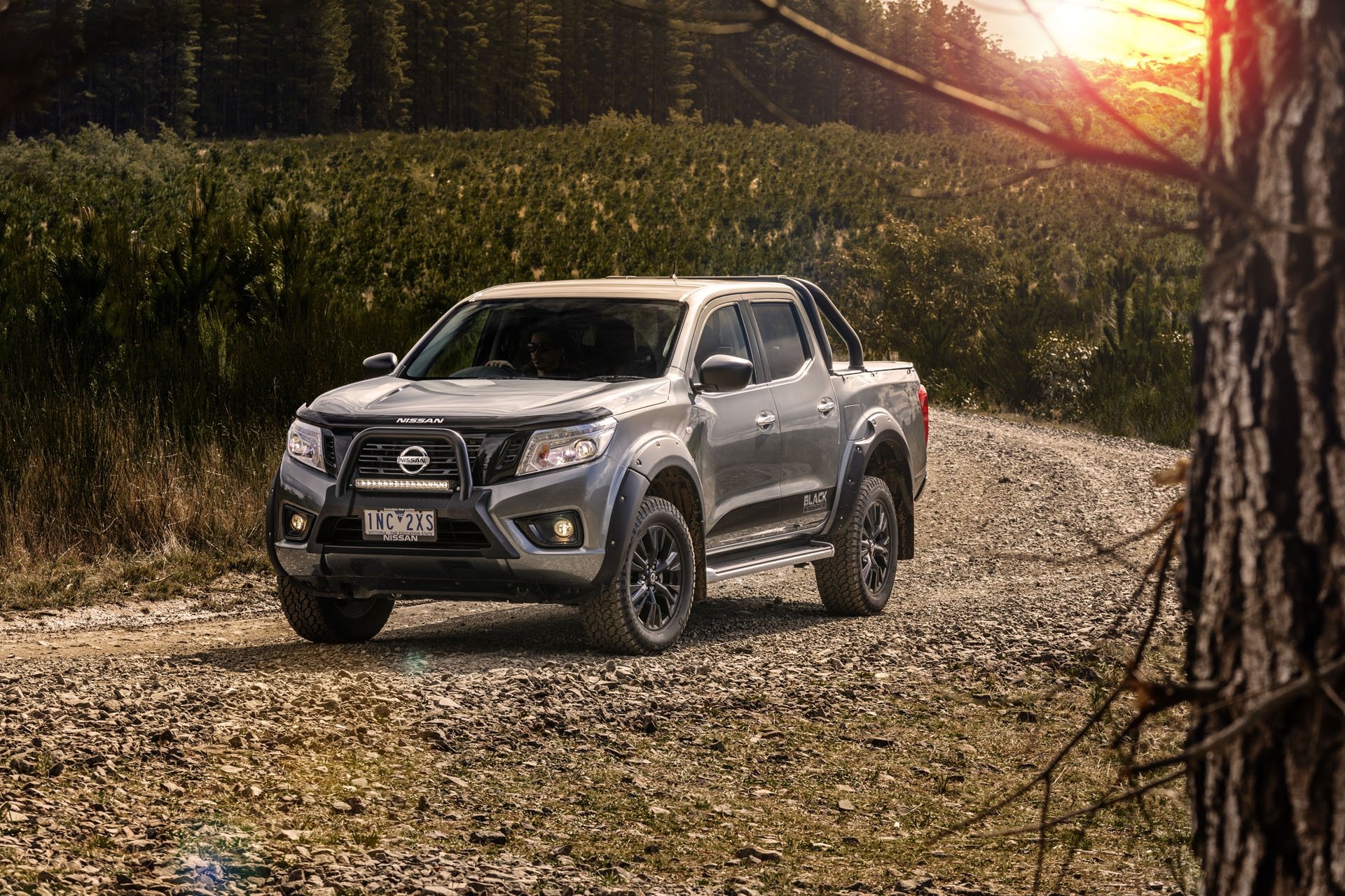 Nissan Navara co them 2 phien ban gioi han hinh anh