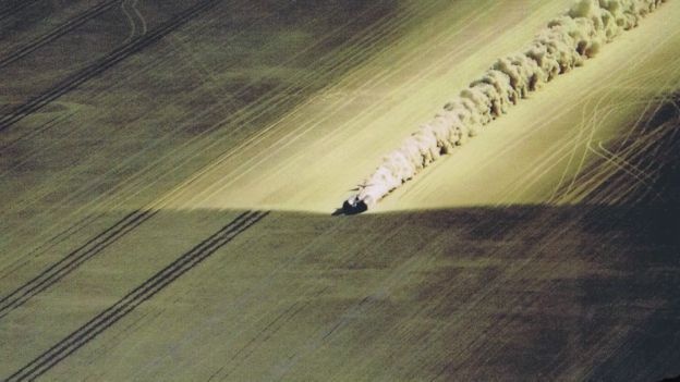 xe ten lua co nguy co huy bo vi thieu tien anh 7