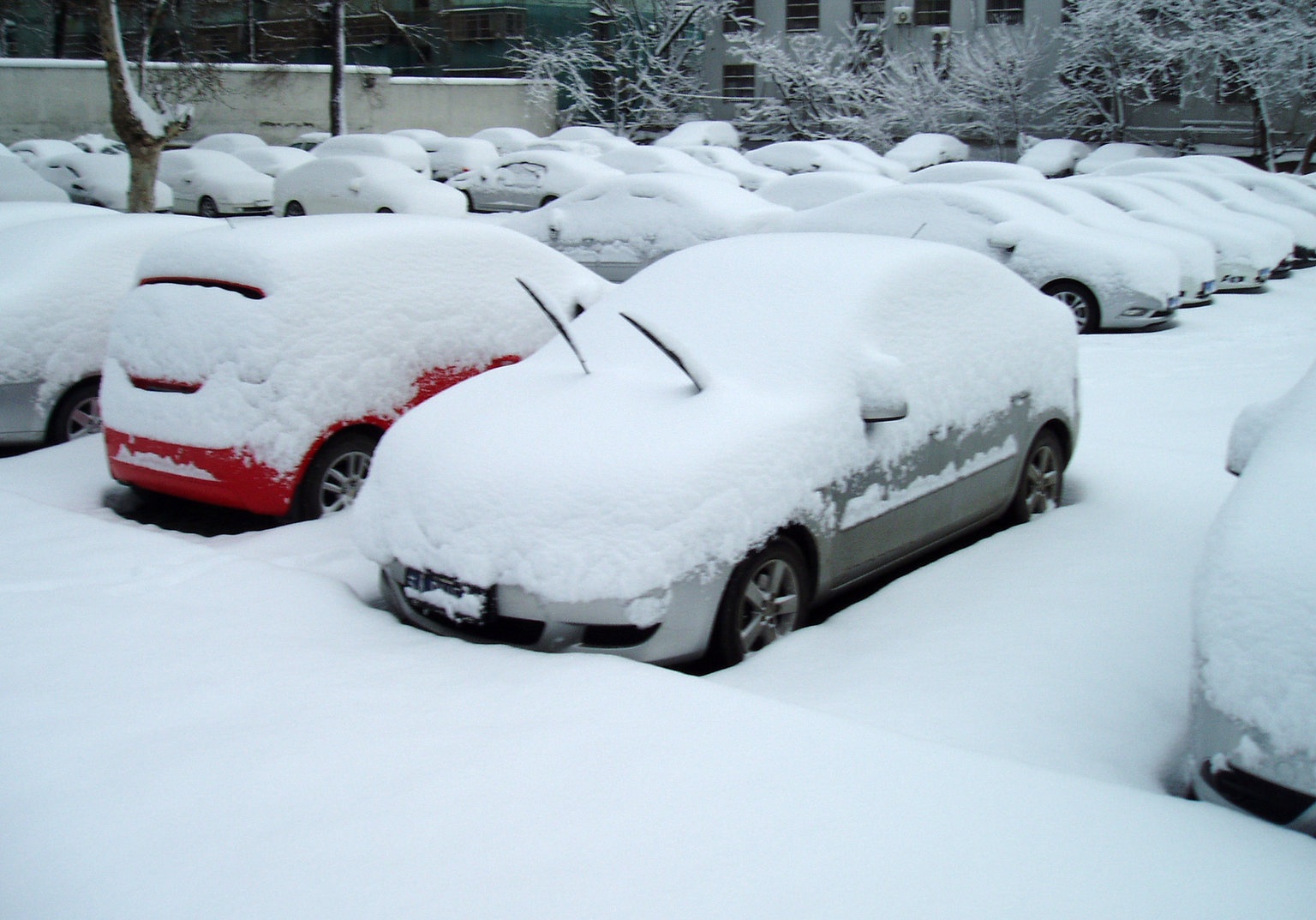 xe Trung Quoc e hang vi Trump anh 1