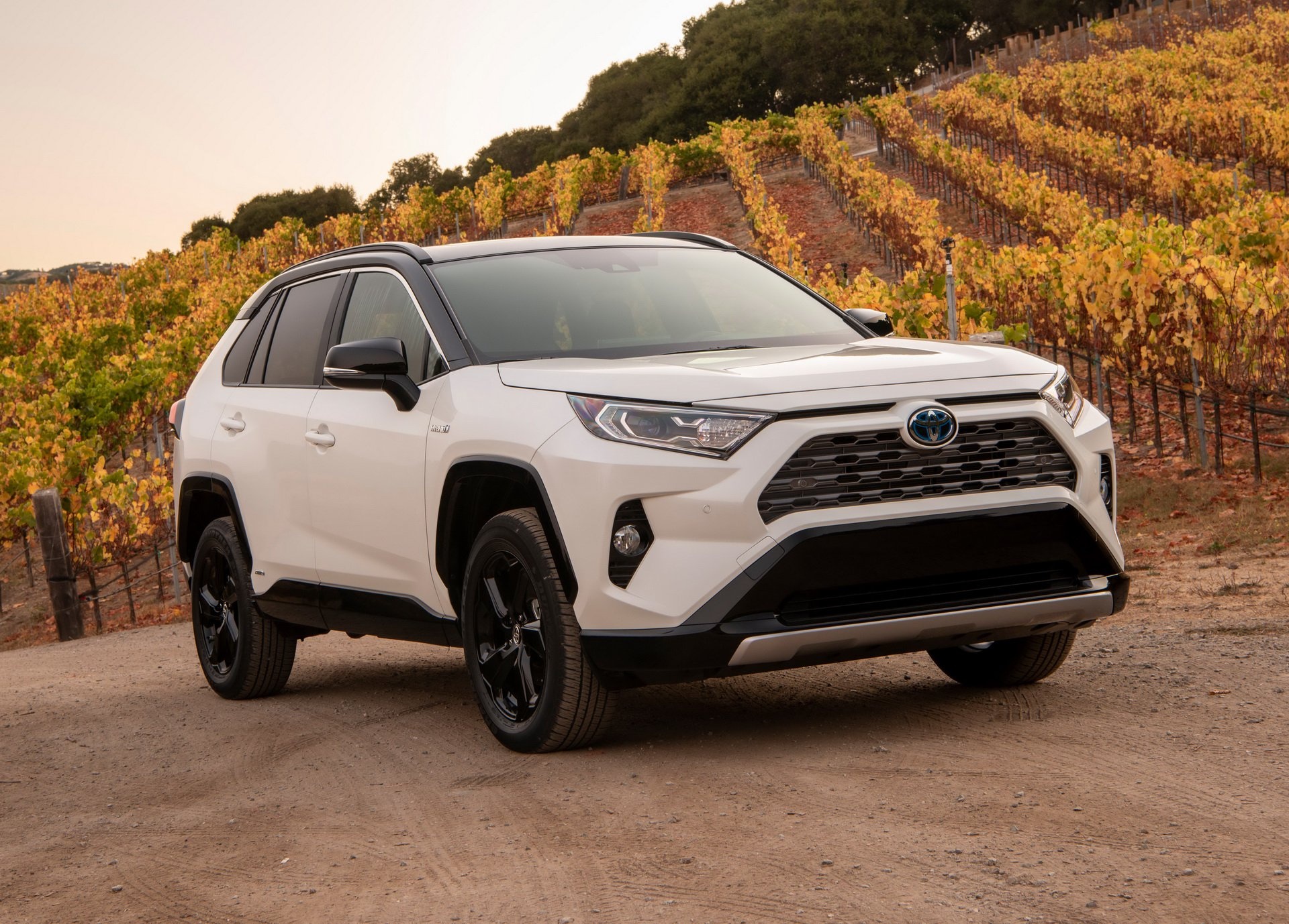 Toyota RAV4 2019 chốt giá từ 26.545 USD ảnh 8 Toyota RAV4 2019 chot gia tu 26.545 USD anh 8