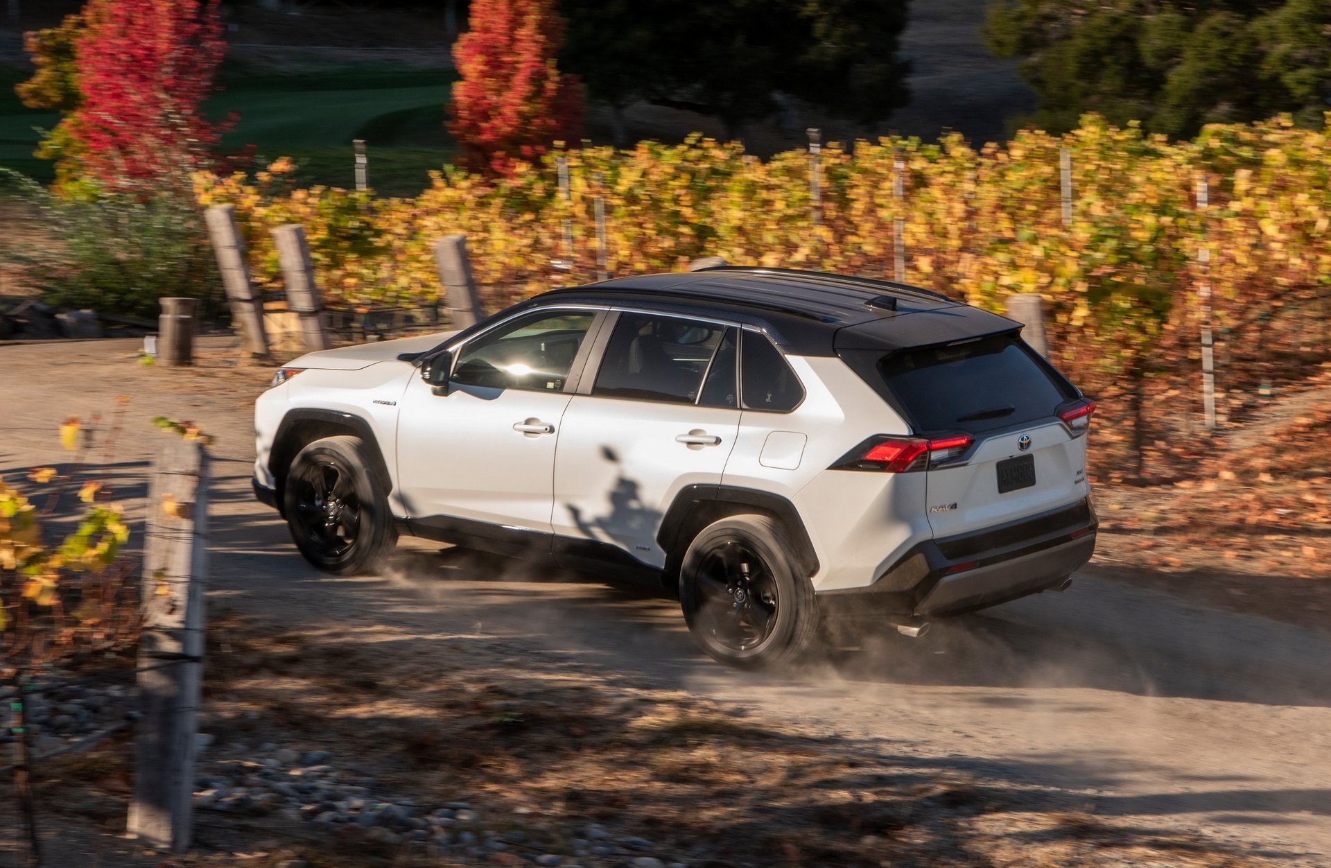 Toyota RAV4 2019 chốt giá từ 26.545 USD ảnh 9 Toyota RAV4 2019 chot gia tu 26.545 USD anh 9