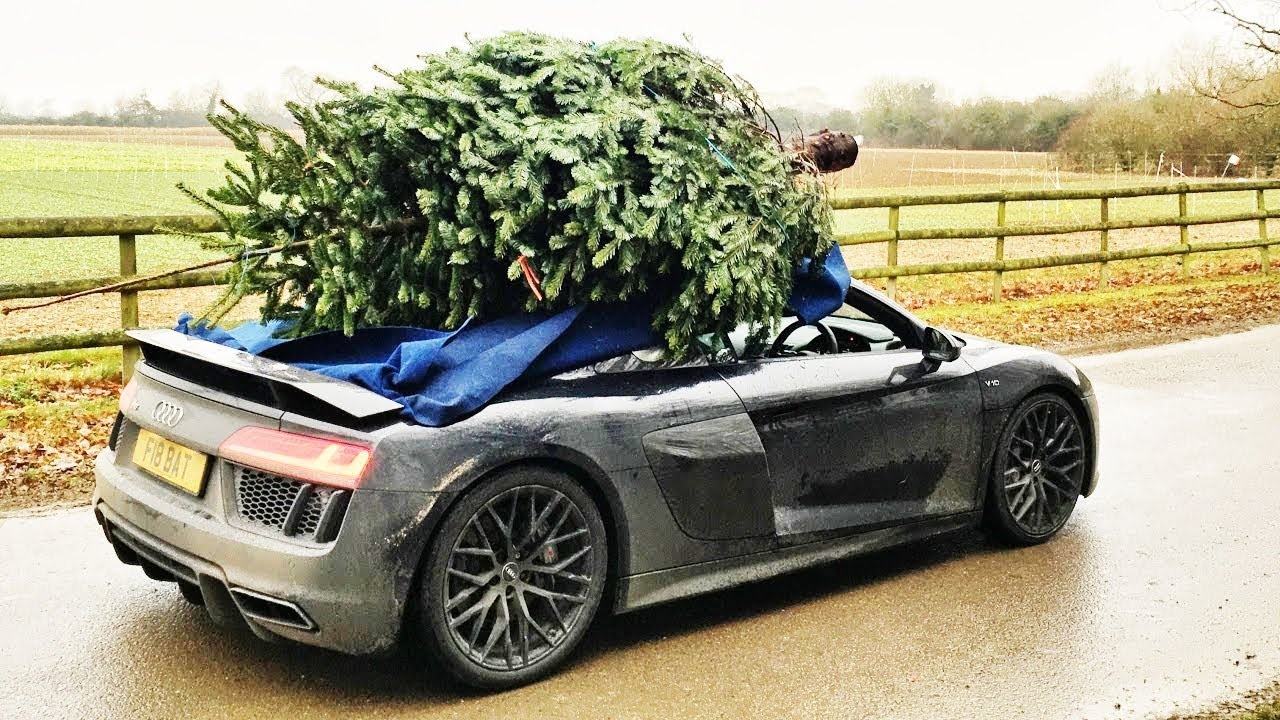 tai xe coi chung khi cho cay thong Noel anh 6