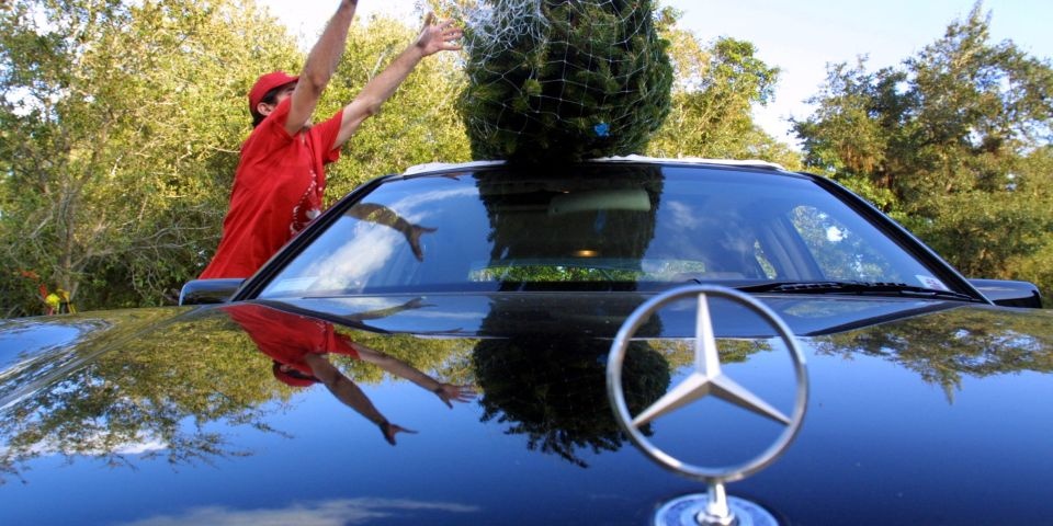 tai xe coi chung khi cho cay thong Noel anh 2