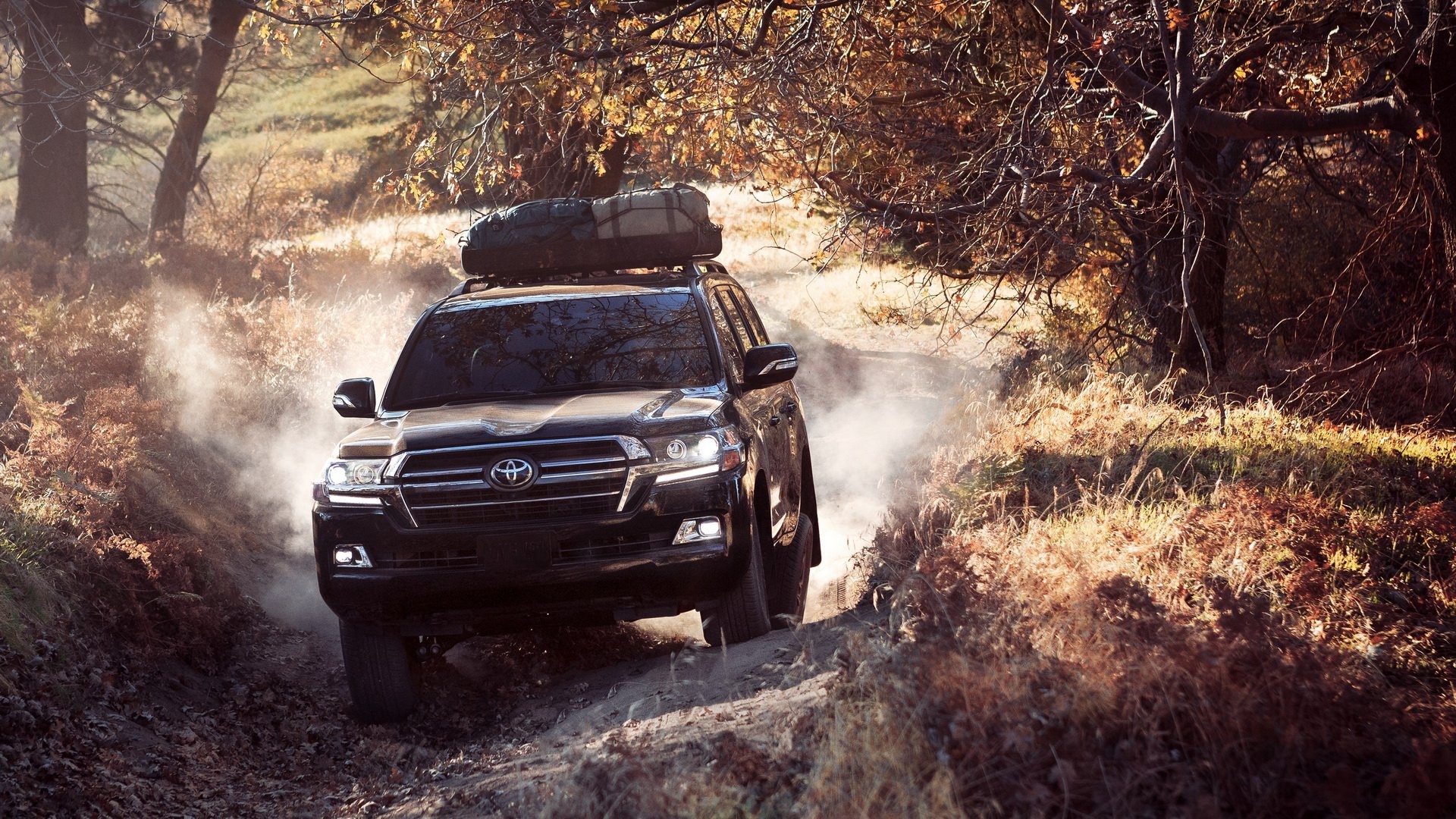 Toyota Land Cruiser bản đặc biệt ảnh 1 Toyota Land Cruiser ban dac biet anh 1