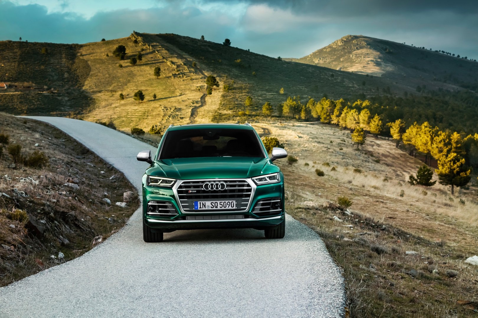SUV máy dầu Audi SQ5 TDI 2019 ảnh 4 SUV may dau Audi SQ5 TDI 2019 anh 4