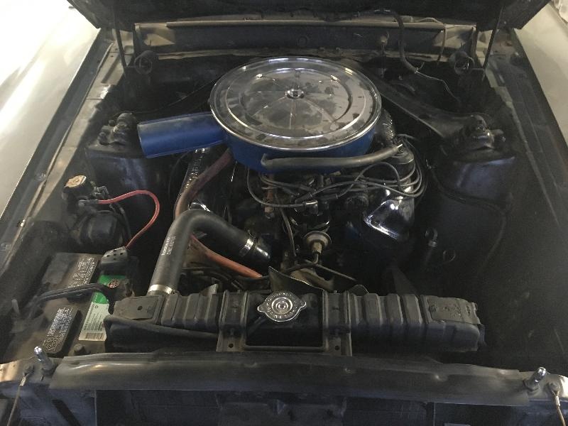Ford Mustang bỏ hoang 39 năm ảnh 6 Ford Mustang bo hoang 39 nam anh 6