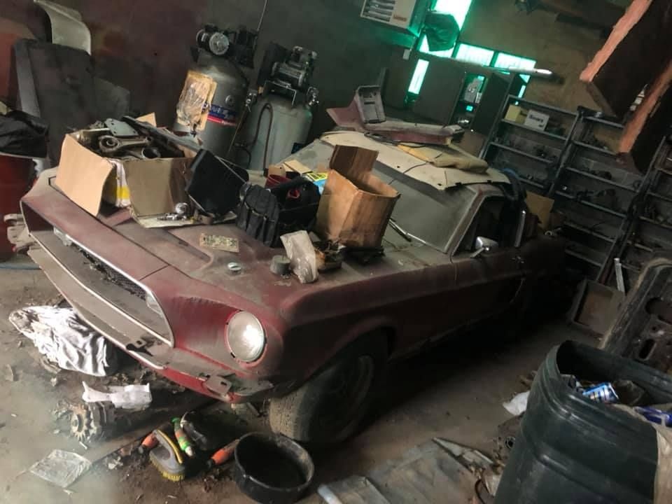 ‘Ngua hoang’ Ford Mustang doi dau bo hoang 30 nam trong nha kho hinh anh
