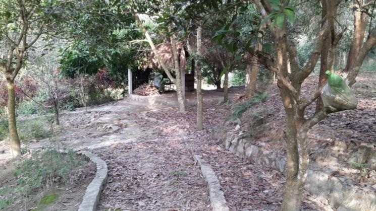 Vo chong bi sat hai tai trang trai ga hinh anh
