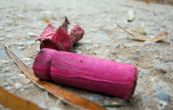 Xac phao do duong trong sang mung 1 o Hung Yen hinh anh