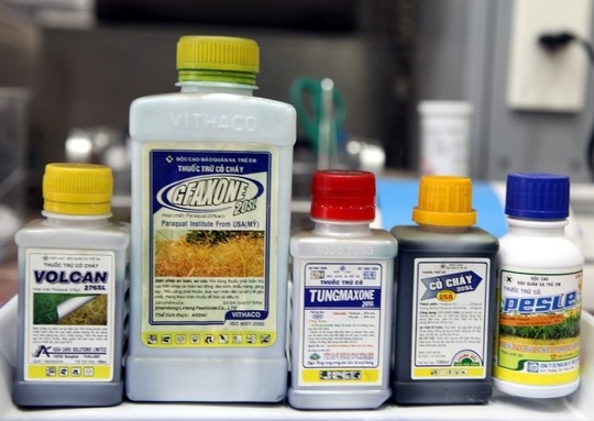 Me cho con trai 11 thang uong thuoc diet co de cung chet hinh anh