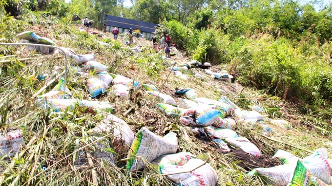 Hàng trăm bao phân chở trên xe tải rơi vương vãi tại hiện trường.