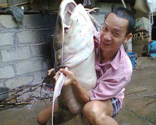 San 'thuy quai' khong lo tren song Gam hinh anh