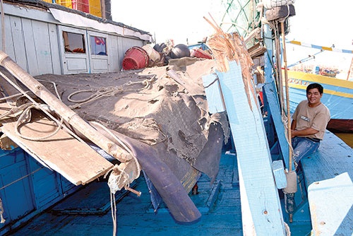 Dai gia dinh 4 doi bam bien Hoang Sa hinh anh