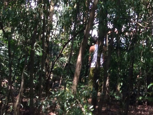 Nghi can sat hai vo con da treo co tu tu hinh anh