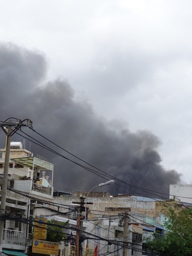 Ảnh Pháp luật TP HCM