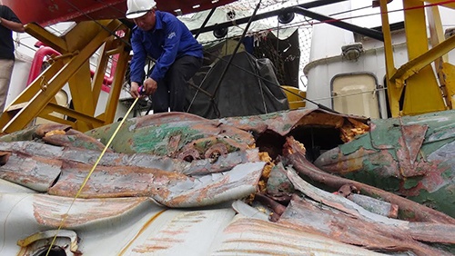 Tau Trung Quoc dung het toc luc dinh dam chim tau Viet Nam hinh anh