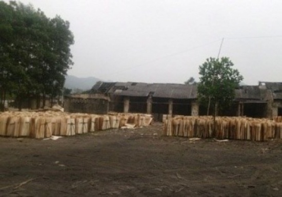 Nguoi dan ong xuong tay voi tinh dich van mong vo hoi cai hinh anh