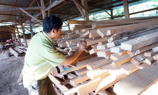 Cơ quan chức năng khám xét và niêm phong số gỗ trong kho của Công ty Trí Dũng.