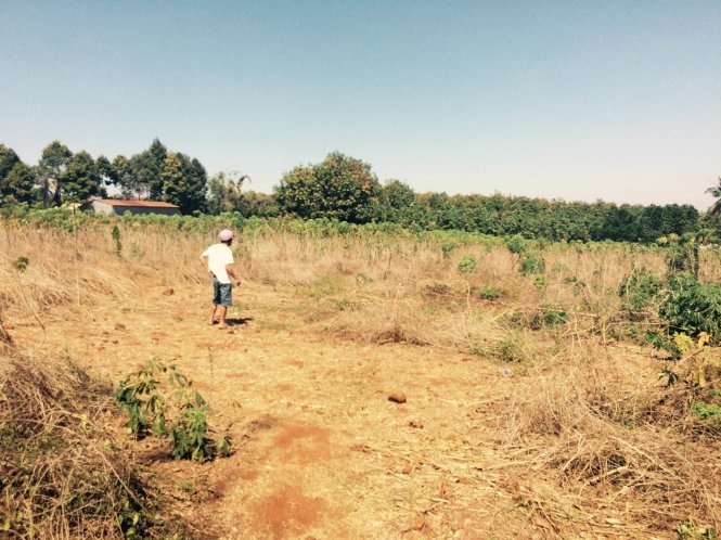 Bat khan cap nghi can dot chay chu no hinh anh