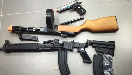 Bat vu gui sung, luu dan tu My ve Viet Nam hinh anh