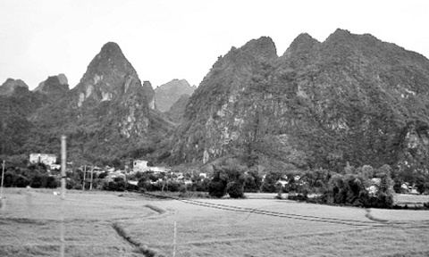 Tuong cuop mang an 'tieu diet tai cho' hinh anh