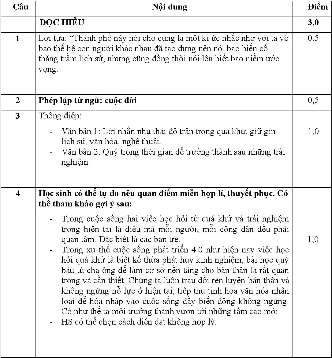 De thi mon Van lop 10 o TP.HCM anh 3