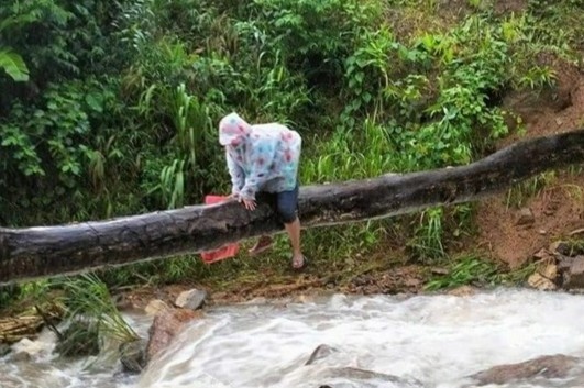 Co giao om than cay vuot dong suoi lu de den lop hinh anh