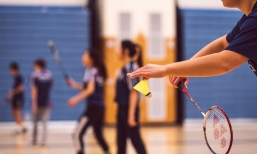 Them luan an tien si ve cau long gay xon xao hinh anh