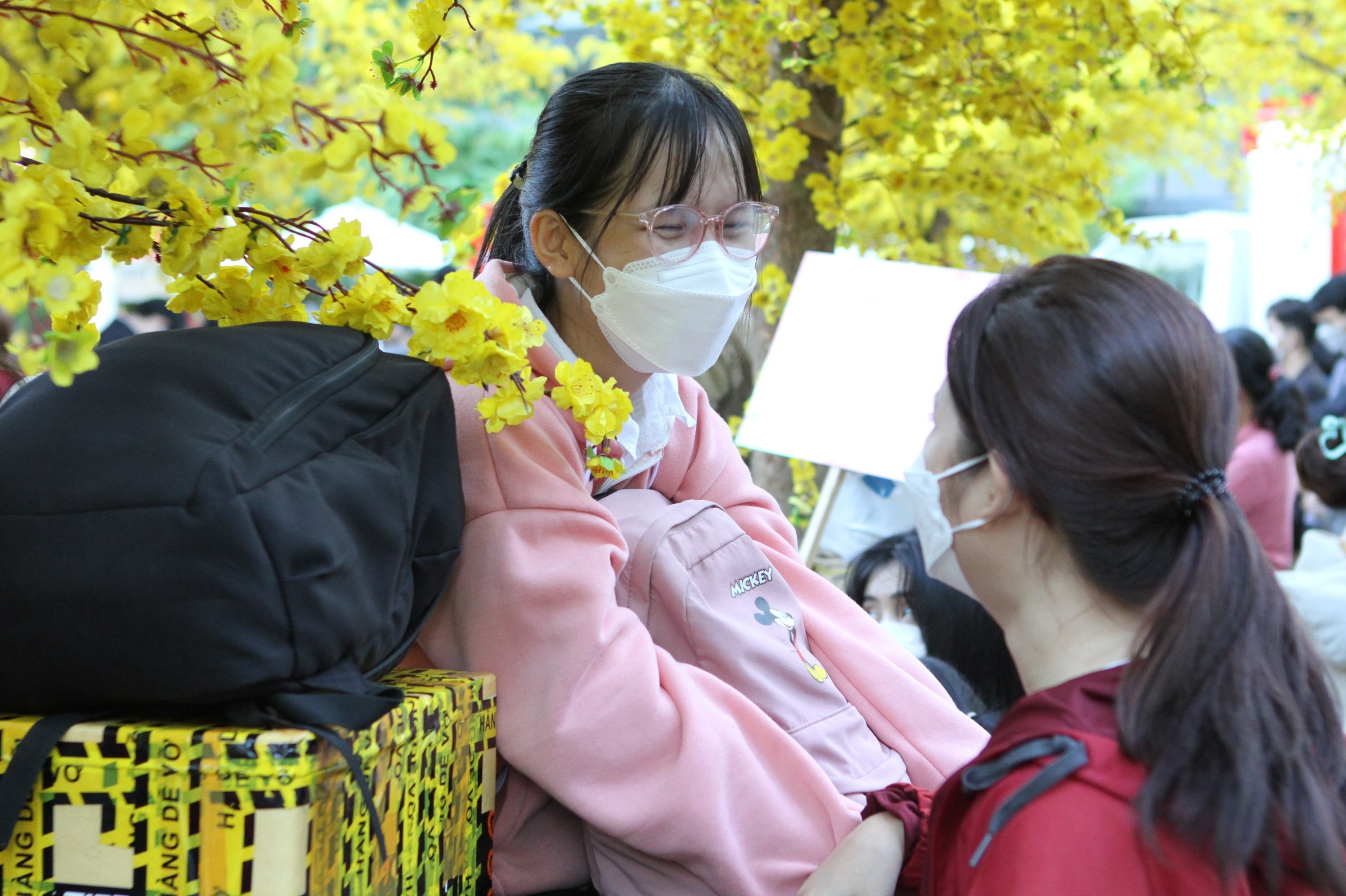 Nhieu sinh vien o TP.HCM duoc tang ve xe mien phi de ve que an Tet hinh anh