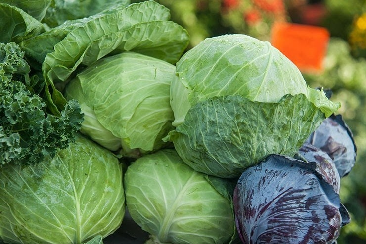 Bap cai giup giam can nhu the nao? hinh anh