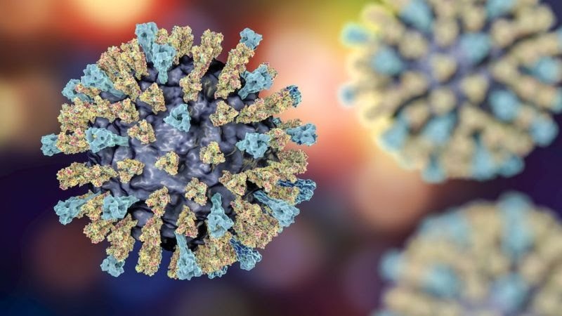 Virus soi dot bien lien quan den benh viem nao gay tu vong hinh anh