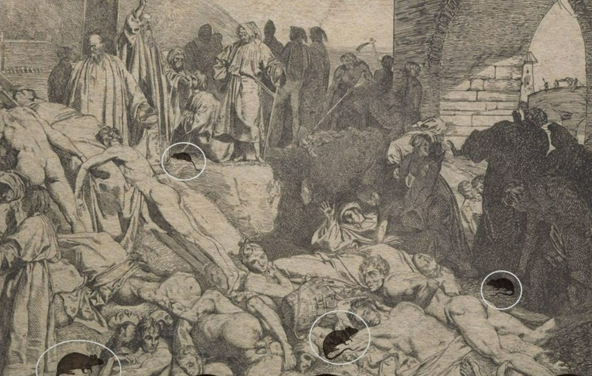 Benh dich hach anh 1