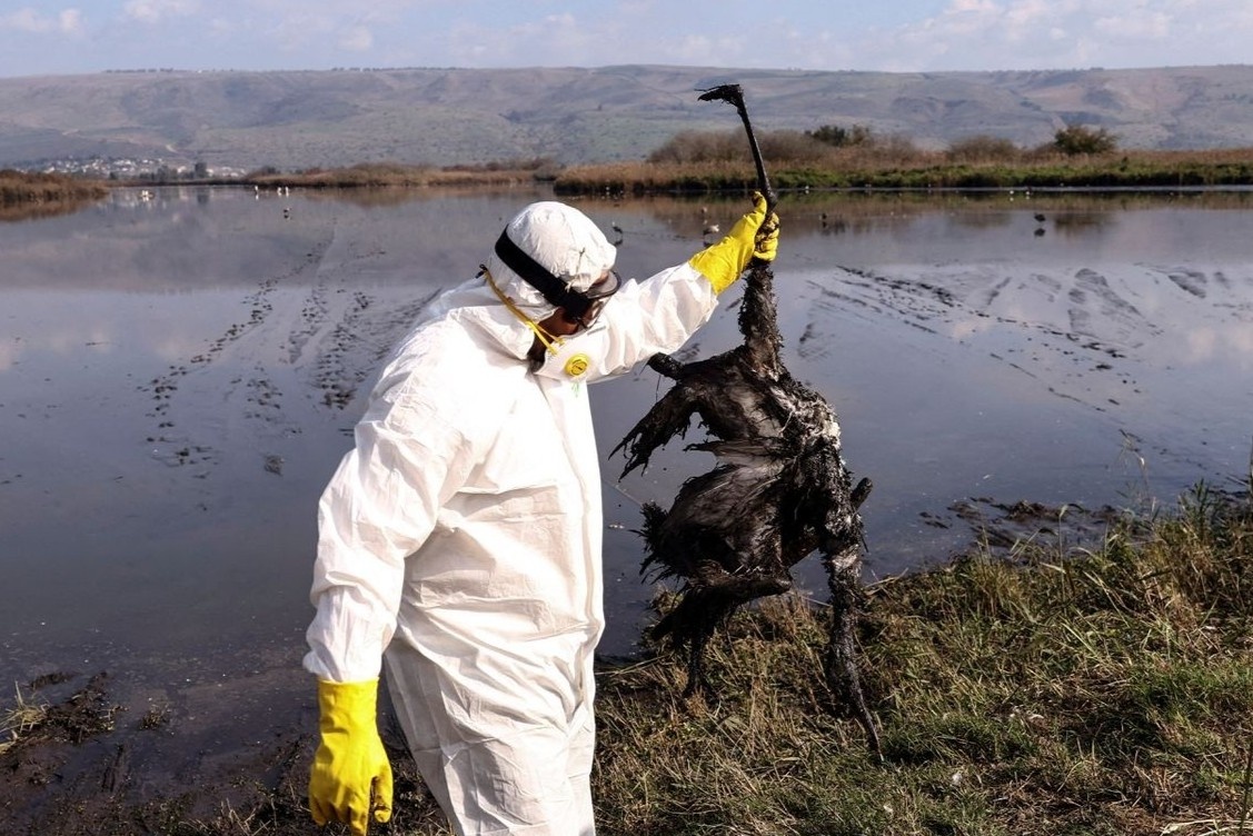 Chung virus chet nguoi tu gia cam tro thanh moi lo dai dich moi hinh anh