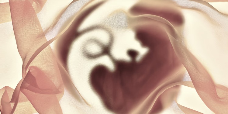 Dieu gi xay ra khi nhau thai sot lai trong co the sau sinh? hinh anh