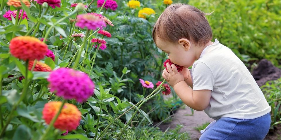 Nhung cach giu an toan cho tre khi he sap den hinh anh